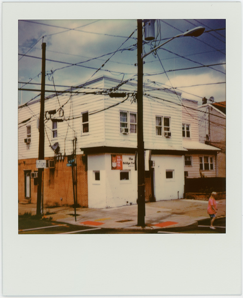 Polaroid 54